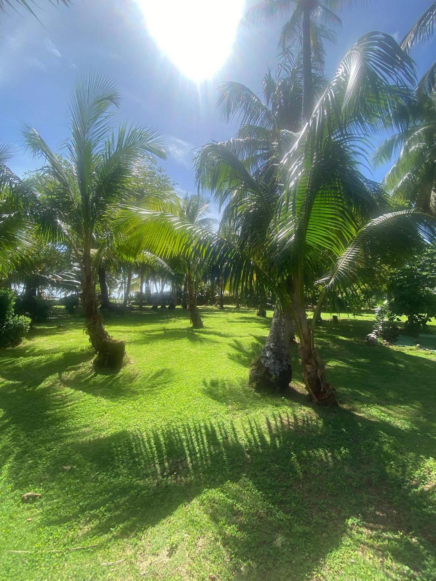 South End Villas - Apartamentos Paradisiaco En El Caribe Colombiano ซานอันเดรส ภายนอก รูปภาพ